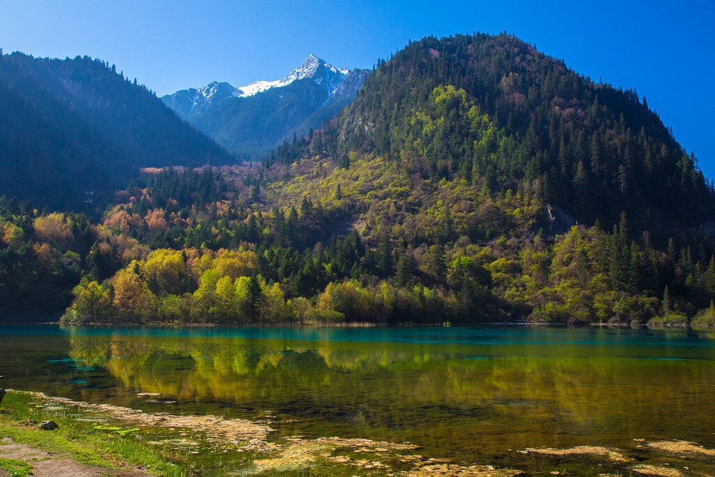 Jiuzhaigou Valley: The Complete Guide
