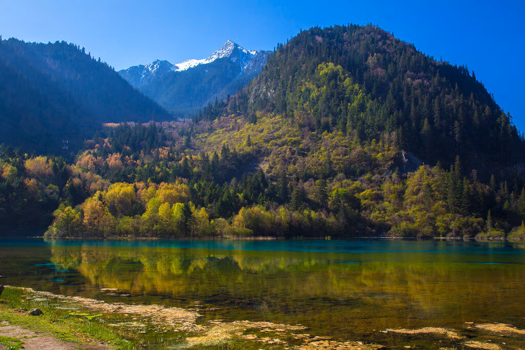 Jiuzhaigou Valley: The Complete Guide