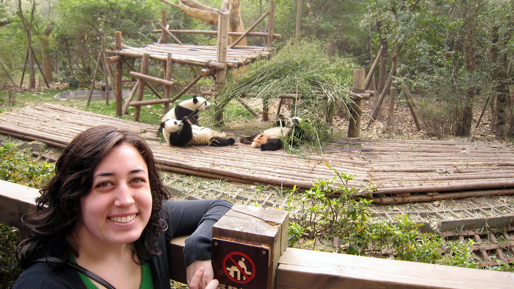 Chengdu Panda Bases Guide: Which One Should You Visit? 2 Chengdu Panda Bases Guide: Which One Should You Visit?