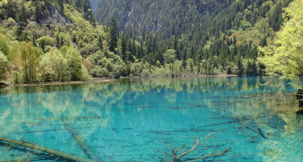 Rize Valley, Jiuzhaigou: Route, 10 Stops, Timing &Amp; Mistakes