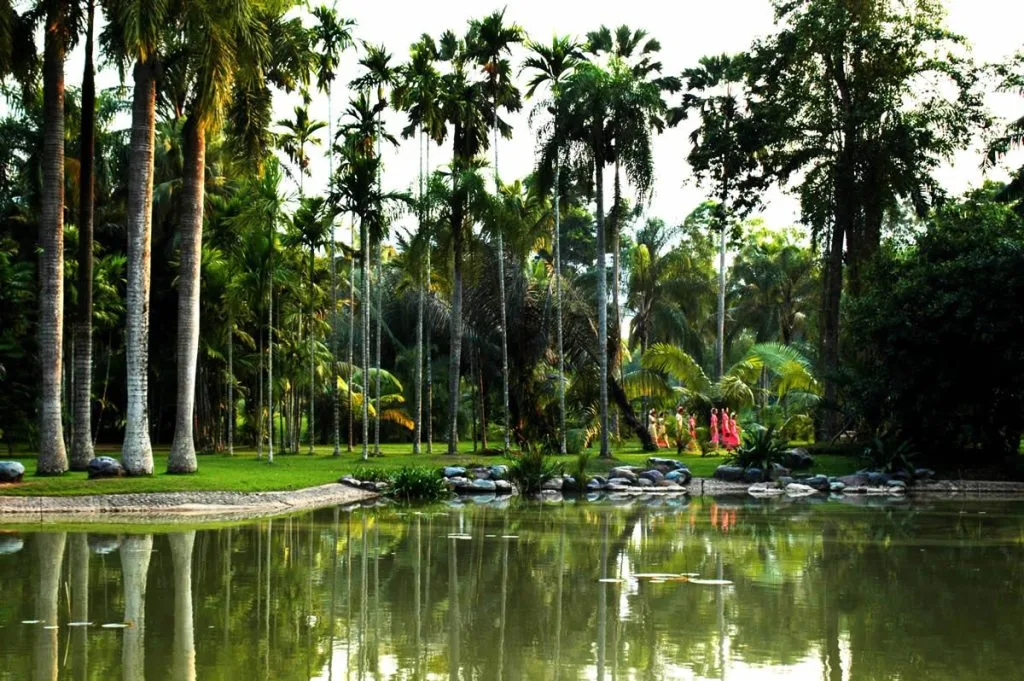 Ultimate Guide To Winter Travel In China: Discovering Seasonal Magic From Snow-Capped Peaks To Tropical Paradise 7 Tropical Botanical Garden In Menglun