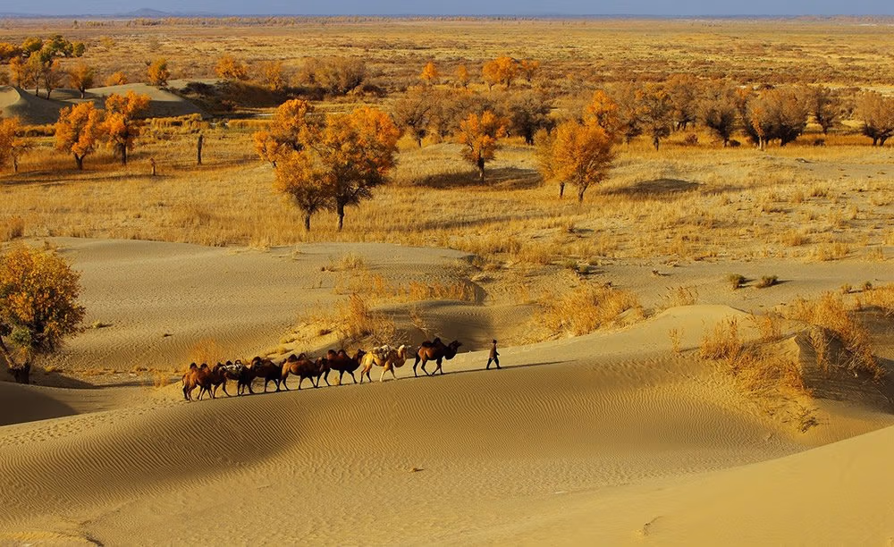 Takla Makan Desert