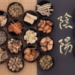 Chinese Culture 3 Chinese Medicine