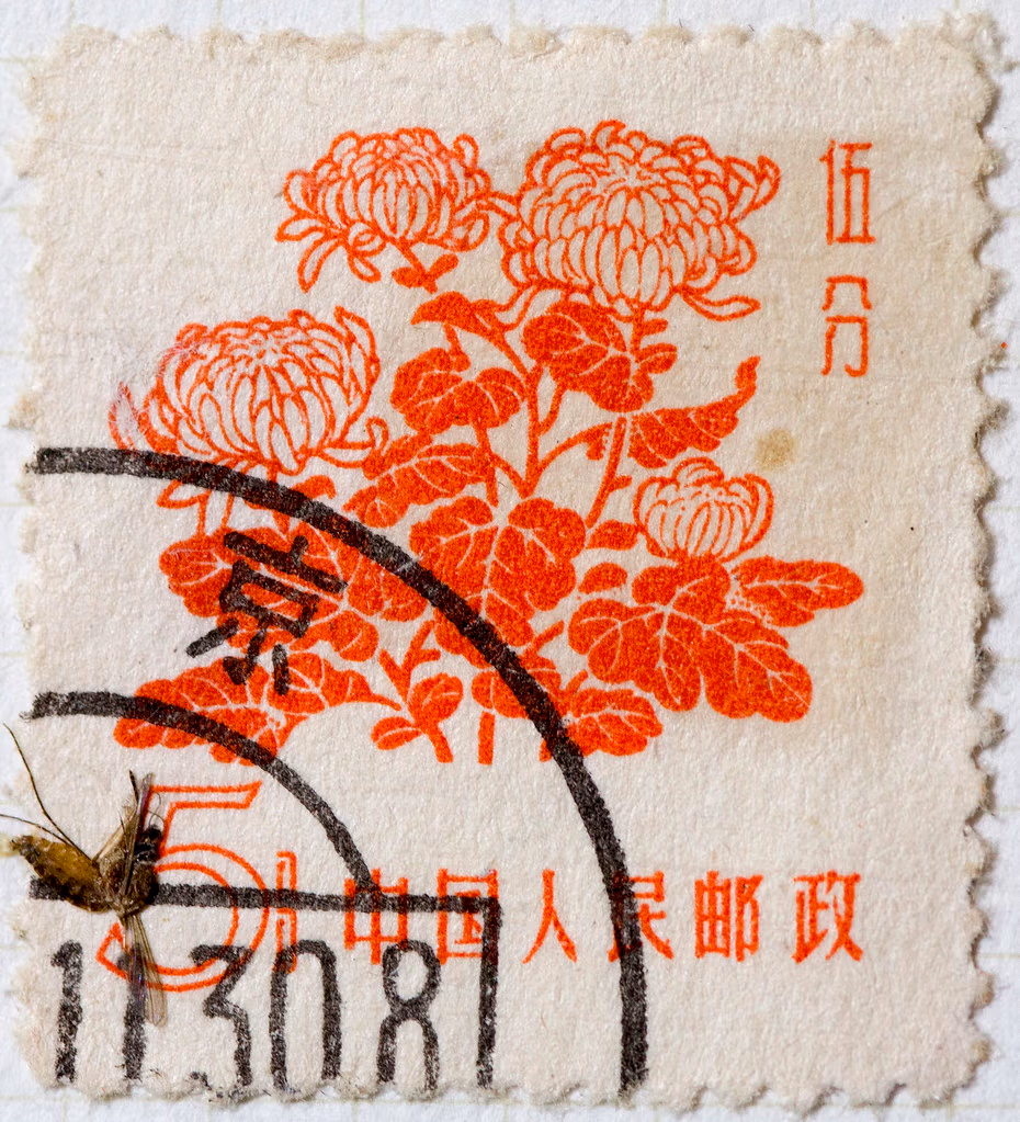 Chinese Flowers: A Complete Travel Guide To China'S Most Beautiful Blooms 18 Chinese Flowers