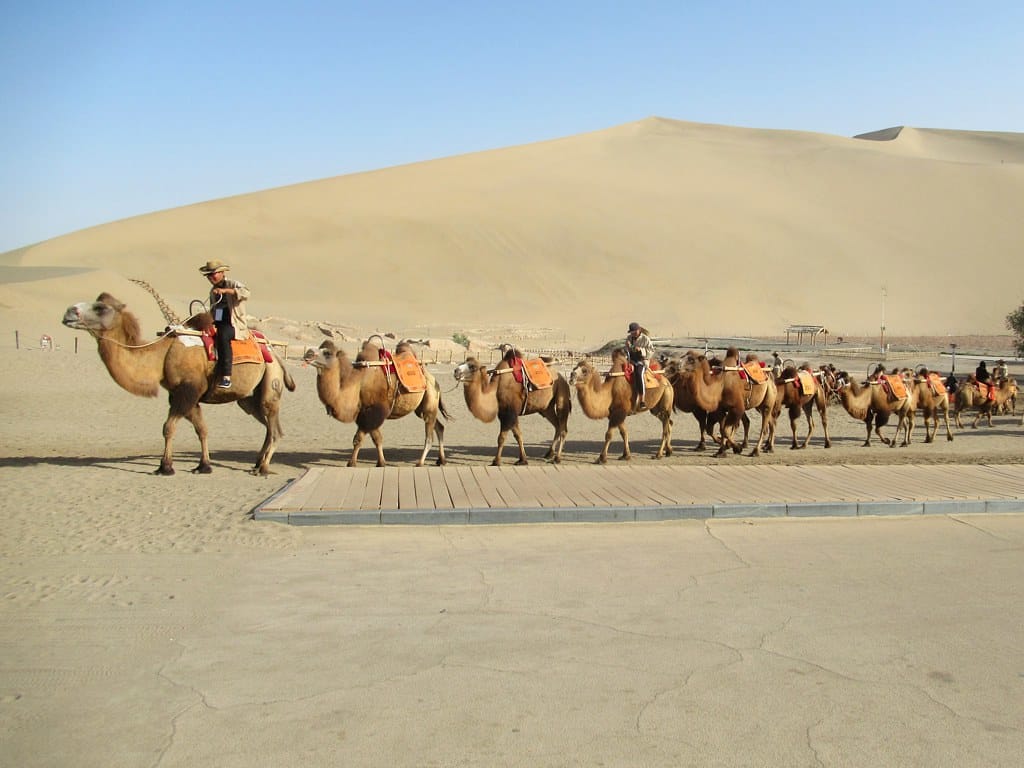 Comprehensive 1 Week China Itinerary Guide 27 Comprehensive 1 Week China Itinerary Guide