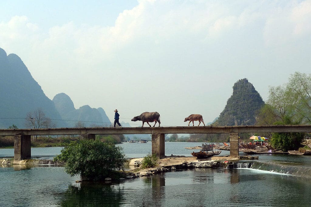 Yulong River Bamboo Rafting: All Routes, Prices &Amp; Booking 25 Yulong River Bamboo Rafting: All Routes, Prices &Amp; Booking