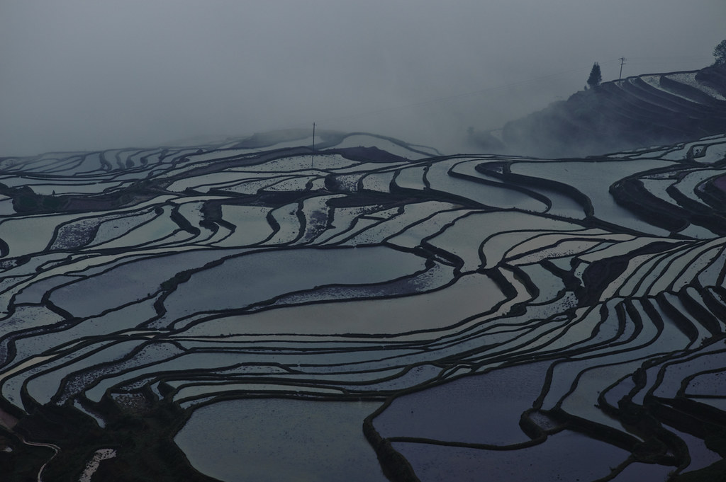 Comprehensive Guide To Rice Terraces In China: What Most Guides Won'T Tell You 27 Comprehensive Guide To Rice Terraces In China: What Most Guides Won'T Tell You