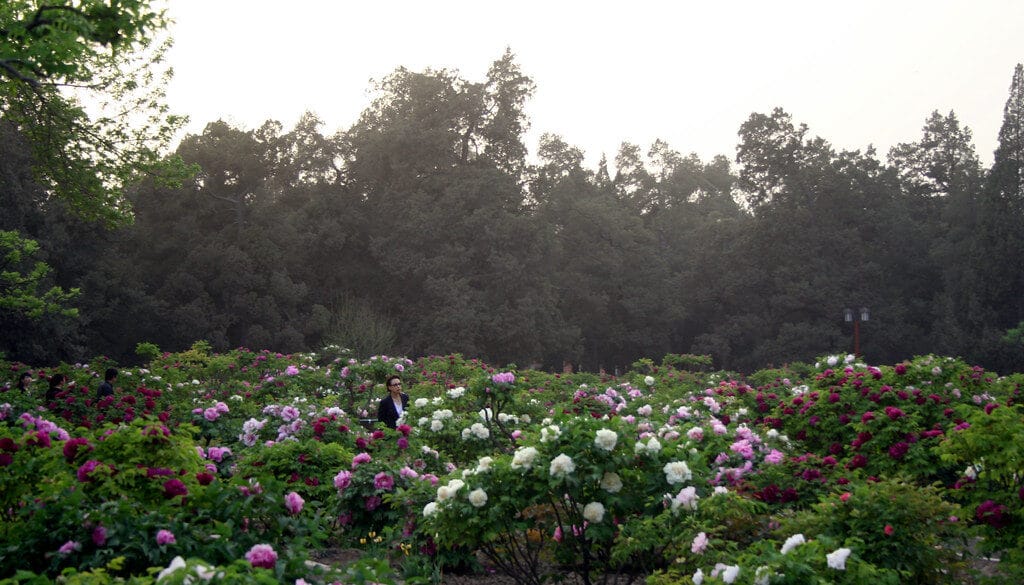 Best Time To Visit Beijing: An Honest Month-By-Month Guide 10 Best Time To Visit Beijing: An Honest Month-By-Month Guide