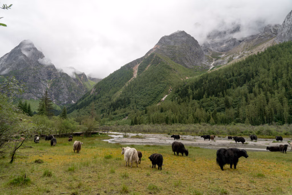 Top 10 Mountains In China: Majestic Peaks You Must Explore 19 Top 10 Mountains In China: Majestic Peaks You Must Explore