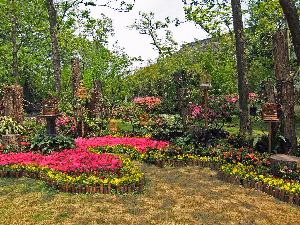 Chinese Flowers: A Complete Travel Guide To China'S Most Beautiful Blooms 7 Chinese Flowers: A Complete Travel Guide To China'S Most Beautiful Blooms