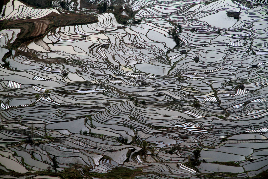 Comprehensive Guide To Rice Terraces In China: What Most Guides Won'T Tell You 35 Comprehensive Guide To Rice Terraces In China: What Most Guides Won'T Tell You
