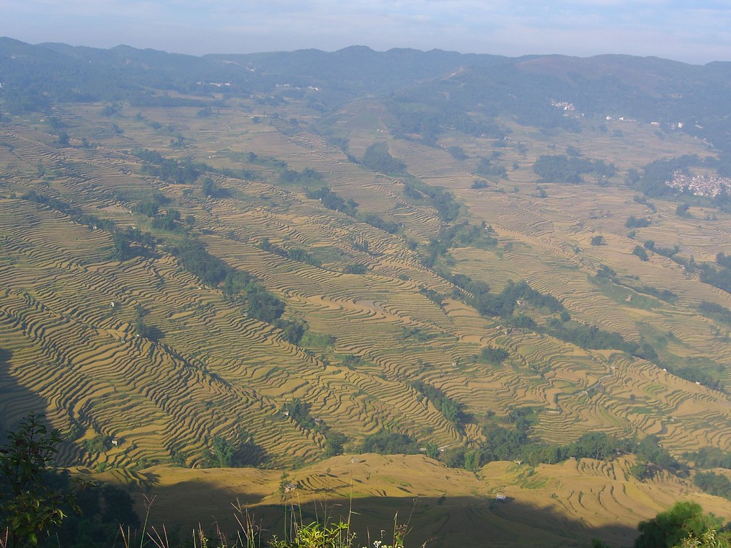 Comprehensive Guide To Rice Terraces In China: What Most Guides Won'T Tell You 37 Comprehensive Guide To Rice Terraces In China: What Most Guides Won'T Tell You