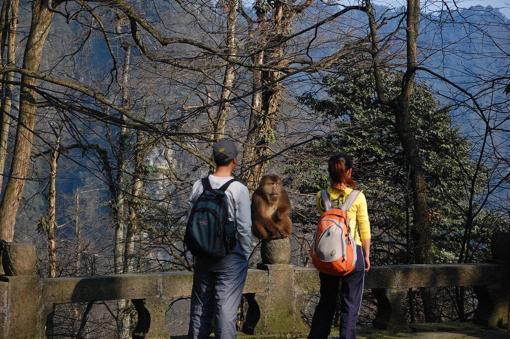Mount Emei Travel Guide: Tickets, Fees &Amp; All Routes 6 Mount Emei Travel Guide: Tickets, Fees &Amp; All Routes