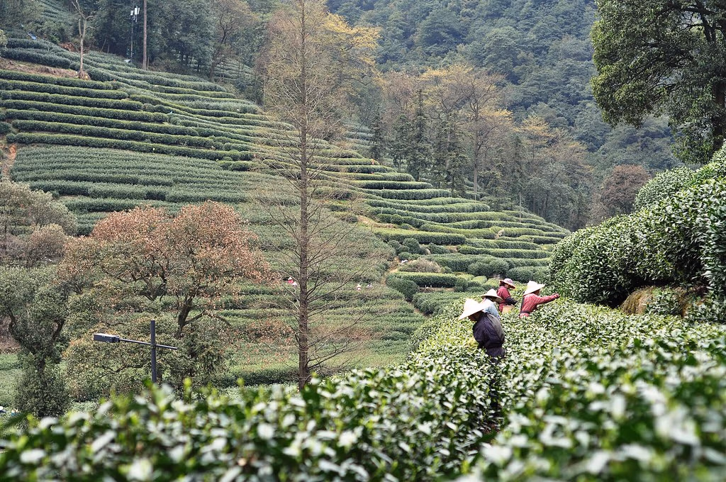 Travel China In May: Your Ultimate Guide To A Perfect Trip 4 Travel China In May: Your Ultimate Guide To A Perfect Trip