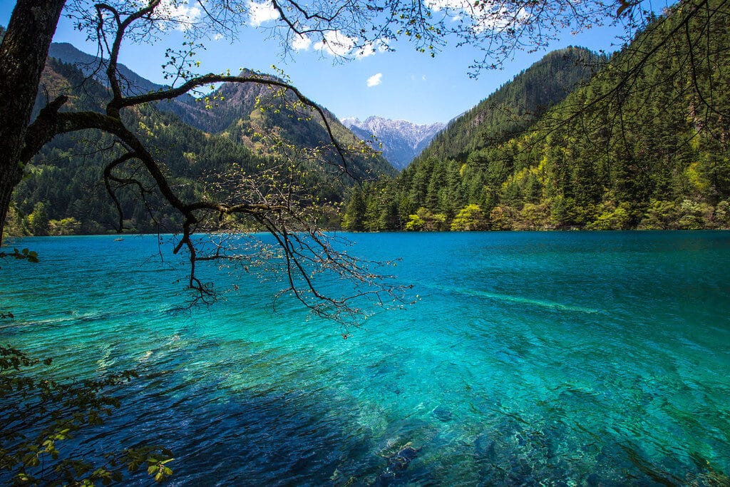Jiuzhaigou Valley: The Complete Guide