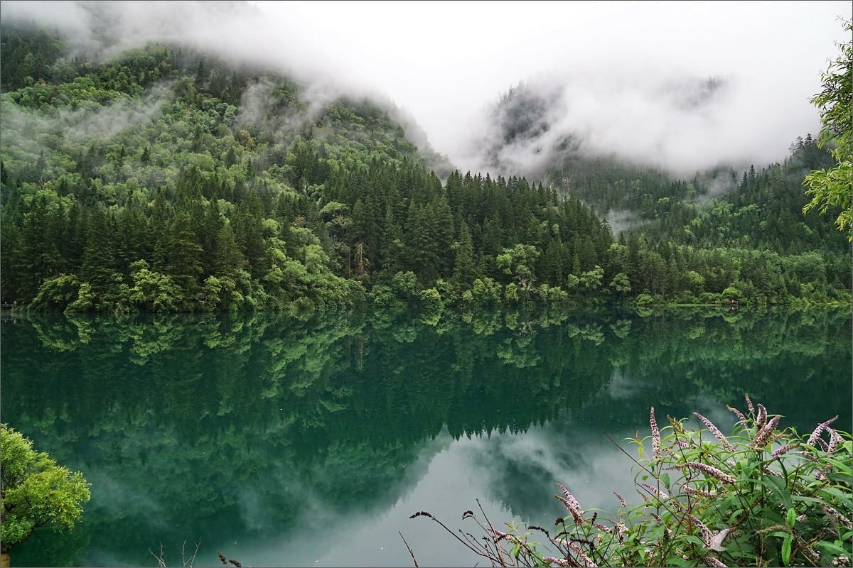Rize Valley, Jiuzhaigou: Route, 10 Stops, Timing &Amp; Mistakes
