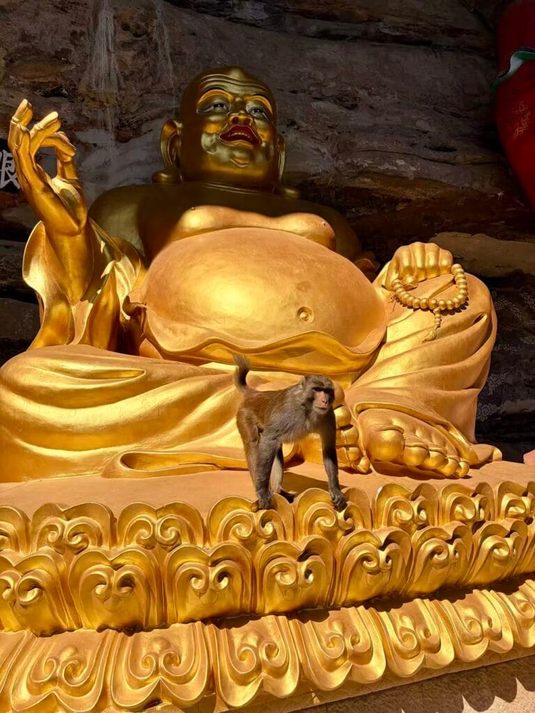 Baoxiang Temple - Monkey