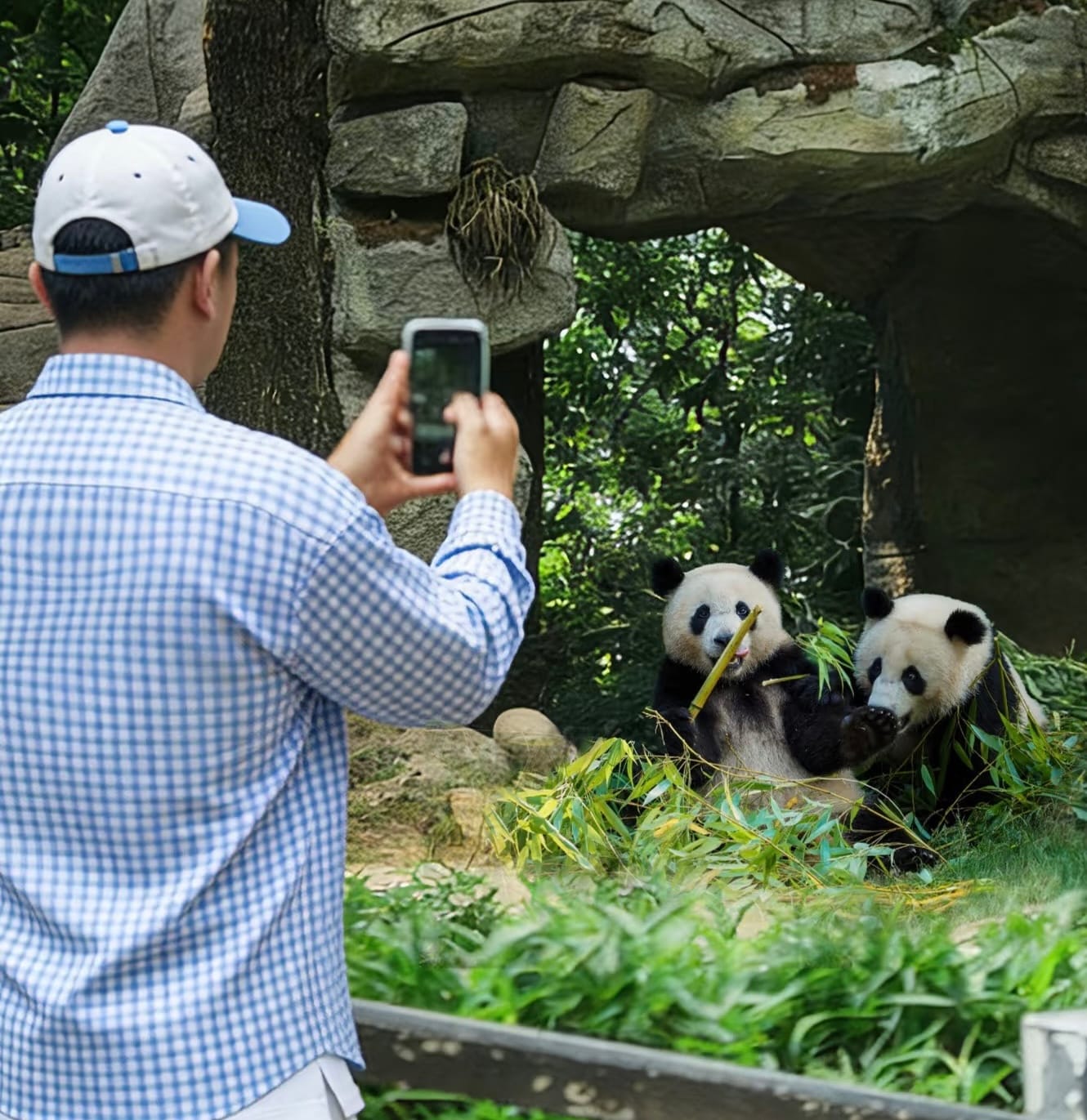 Bifengxia Panda Base