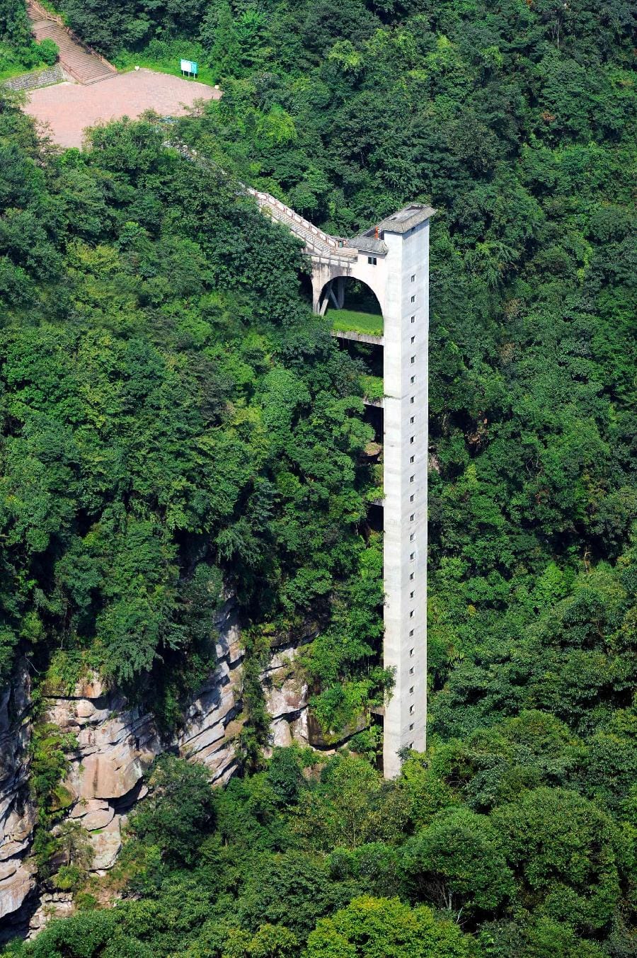 Ya'An Bifengxia Panda Base: Complete Visitor Guide