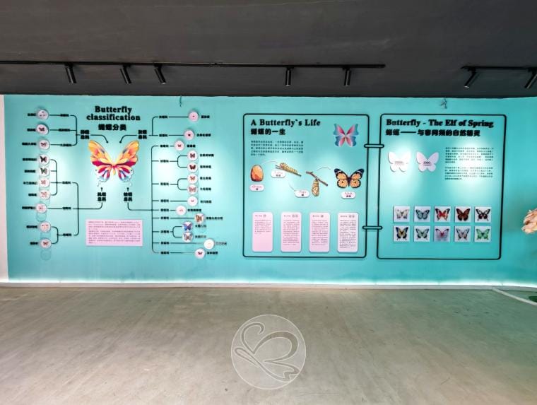 Dali Butterfly Spring: Tickets, Shows And Whether It'S Worth Your Time 4 Butterfly Spring, Butterfly World