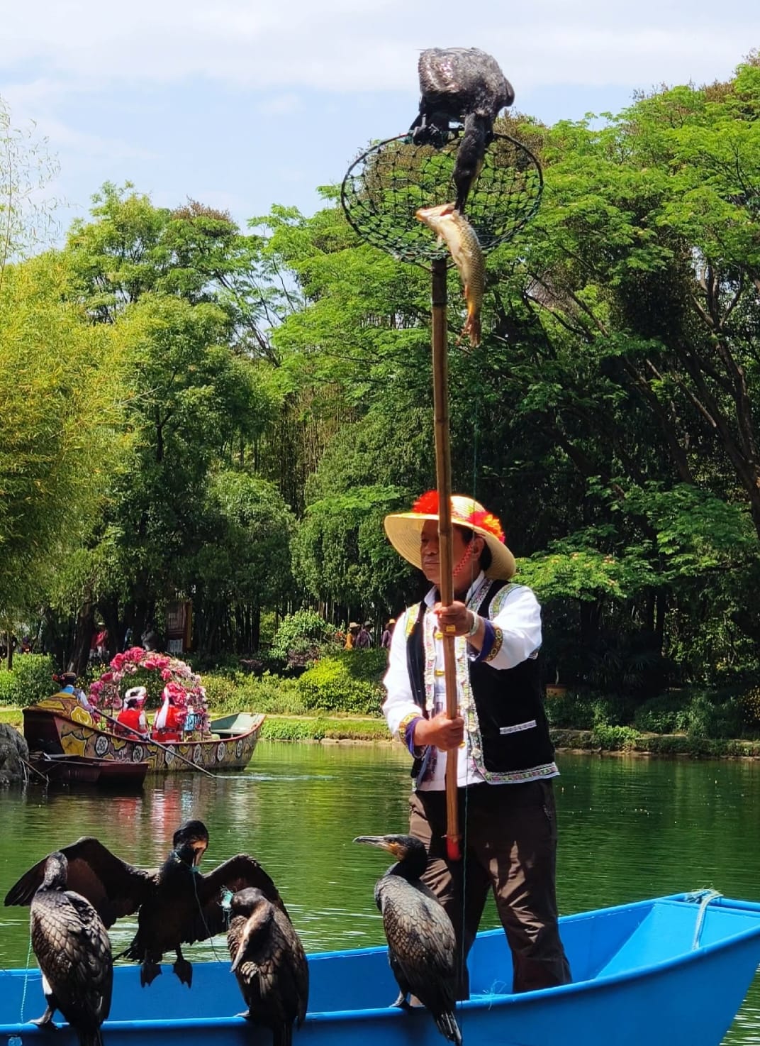 Dali Butterfly Spring: Tickets, Shows And Whether It'S Worth Your Time 7 Butterfly Spring - Cormorant Fishing