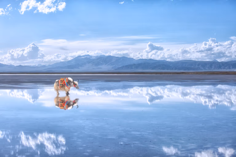 Chaka Salt Lake