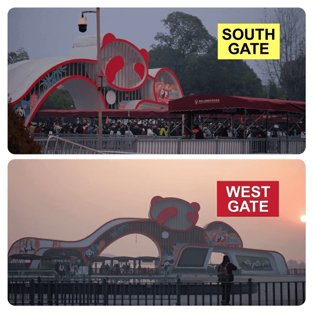 Chengdu Panda Base Guide: Tickets, Routes &Amp; What We Tell Our Clients 18 Chengdu Panda Base Guide: Tickets, Routes &Amp; What We Tell Our Clients