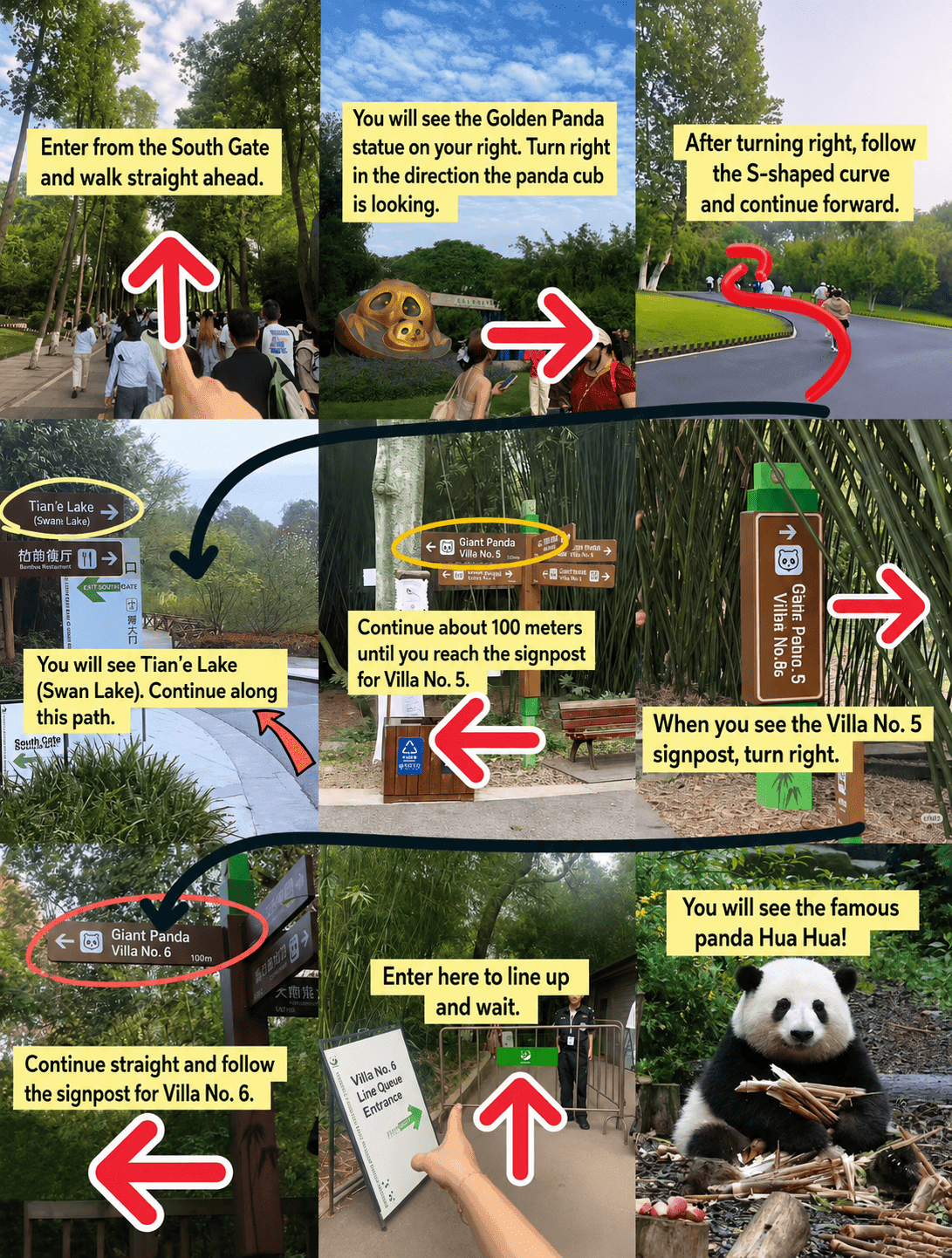 Chengdu Panda Base Guide: Tickets, Routes &Amp; What We Tell Our Clients 15 Chengdu Panda Base – Fast Route To See Hua Hua