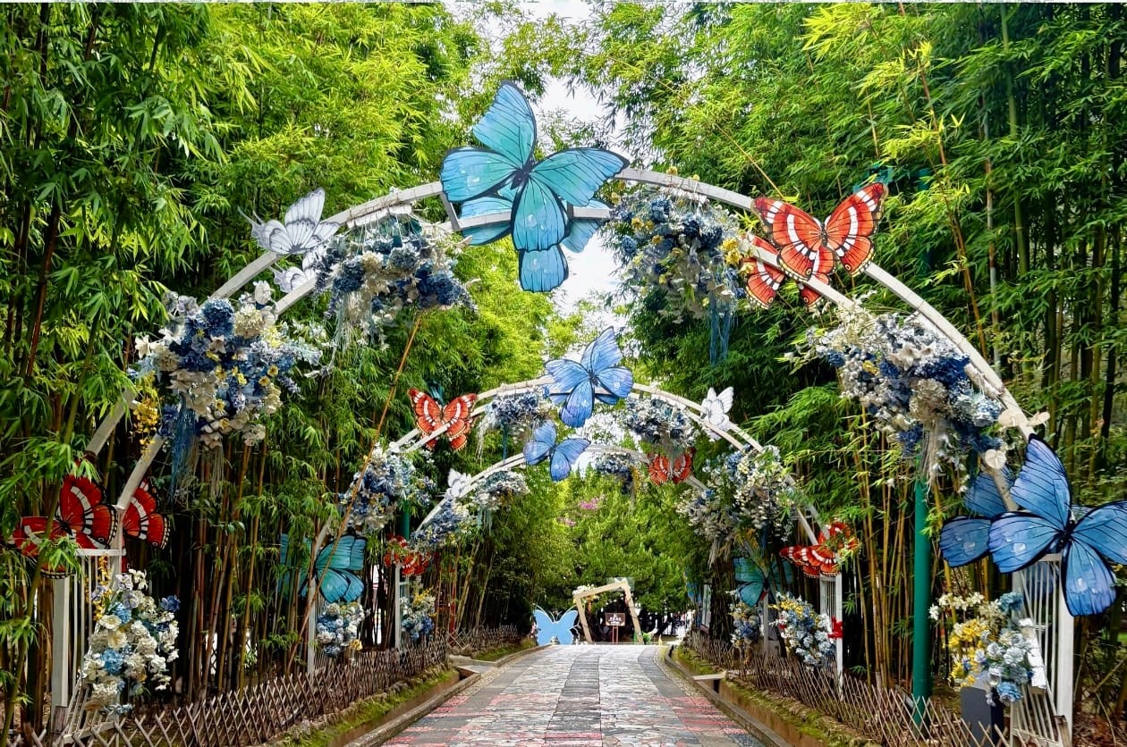 Dali Butterfly Spring: Tickets, Shows And Whether It'S Worth Your Time 9 Dali Butterfly Spring