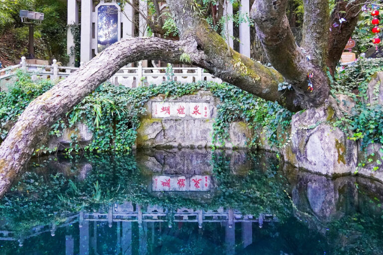 Dali Butterfly Spring: Tickets, Shows And Whether It'S Worth Your Time 1 Dali Butterfly Spring