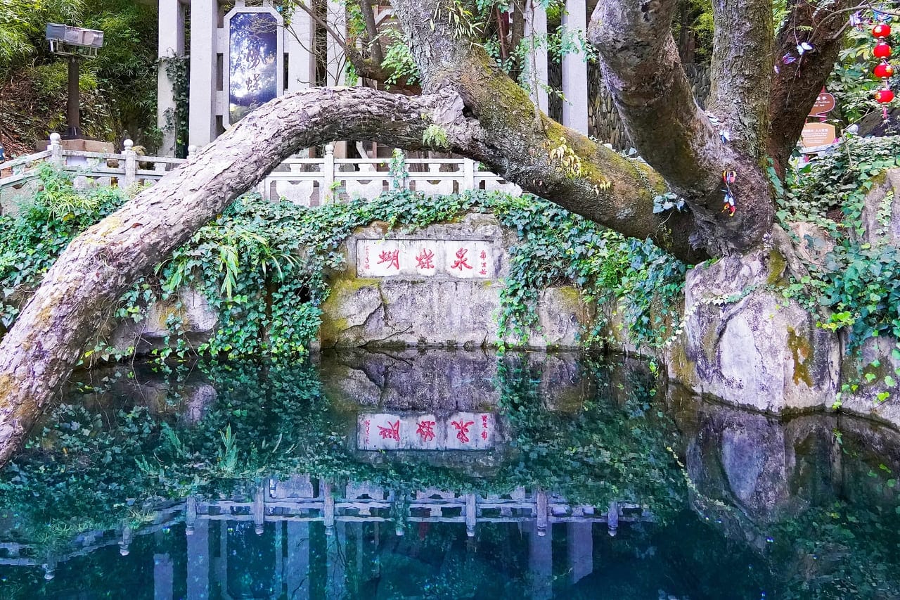 Dali Butterfly Spring: Tickets, Shows And Whether It'S Worth Your Time 1 Dali Butterfly Spring