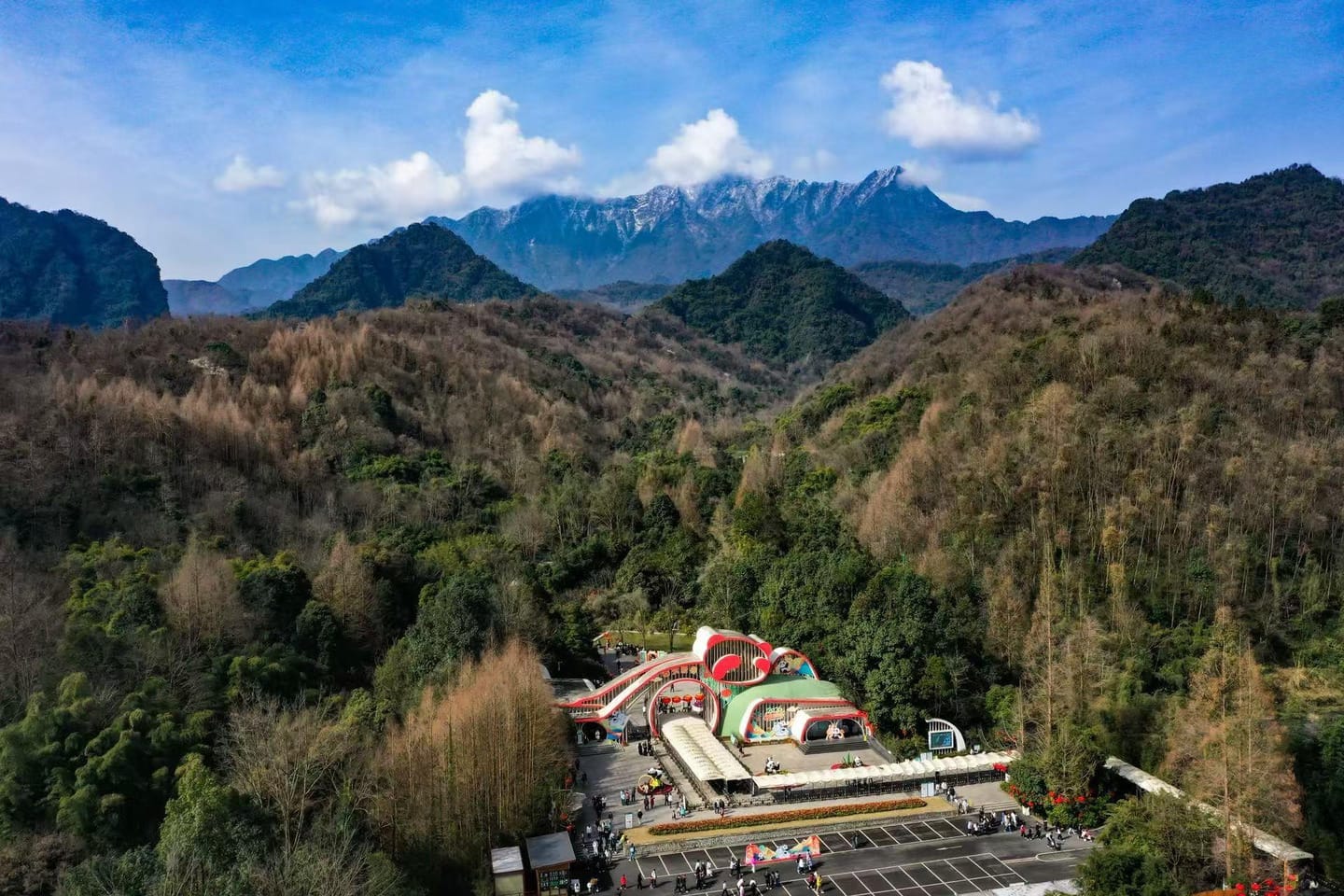 Dujiangyan Panda Valley: Complete Visitor Guide 2 Duajingyan Panda Valley