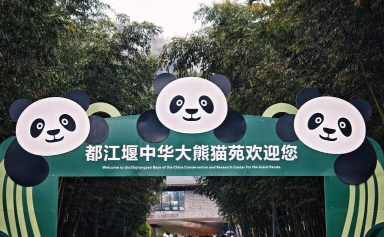 Dujiangyan Panda Base (China Giant Panda Garden): Visitor Guide 3 Dujiangyan Panda Base