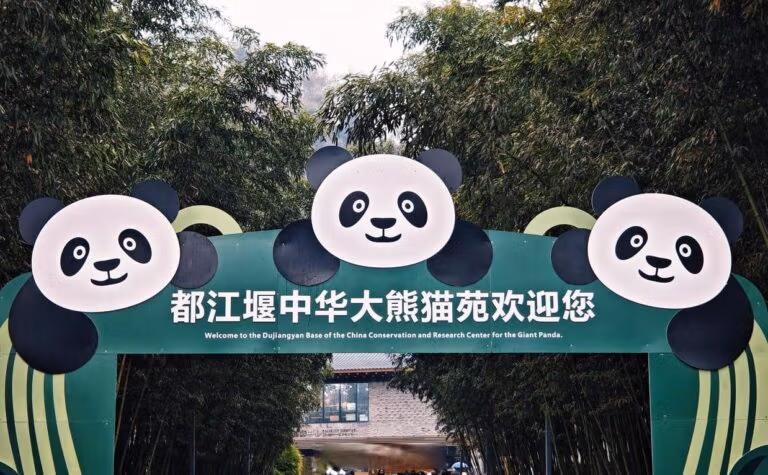 Dujiangyan Panda Base (China Giant Panda Garden): Visitor Guide 16 Dujiangyan Panda Base