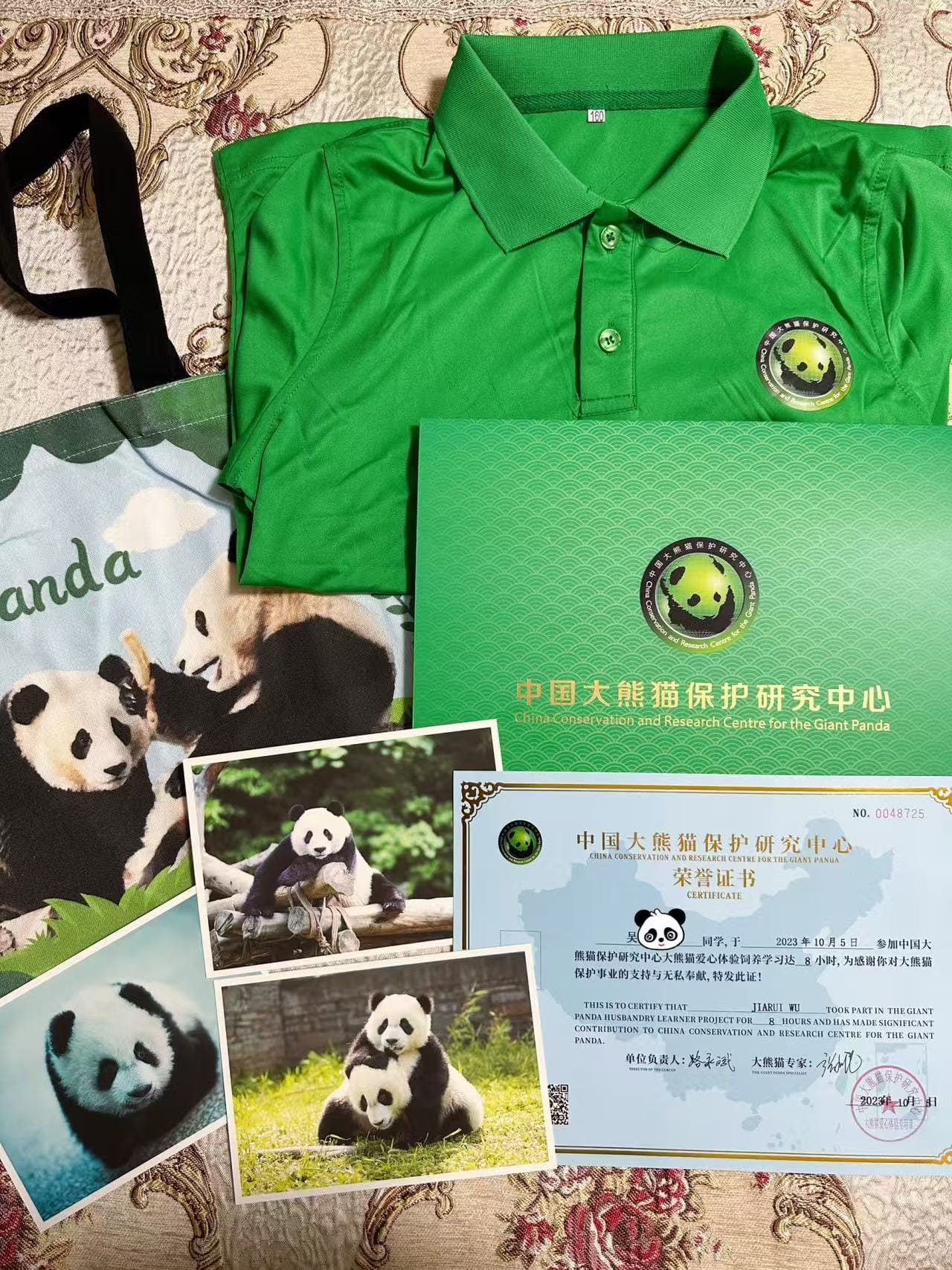 Dujiangyan Panda Base - Volunteer Program