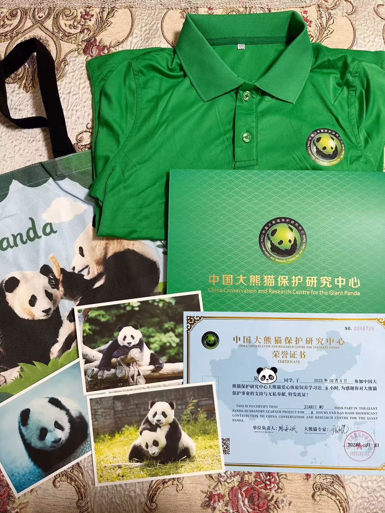 Dujiangyan Panda Base - Volunteer Program