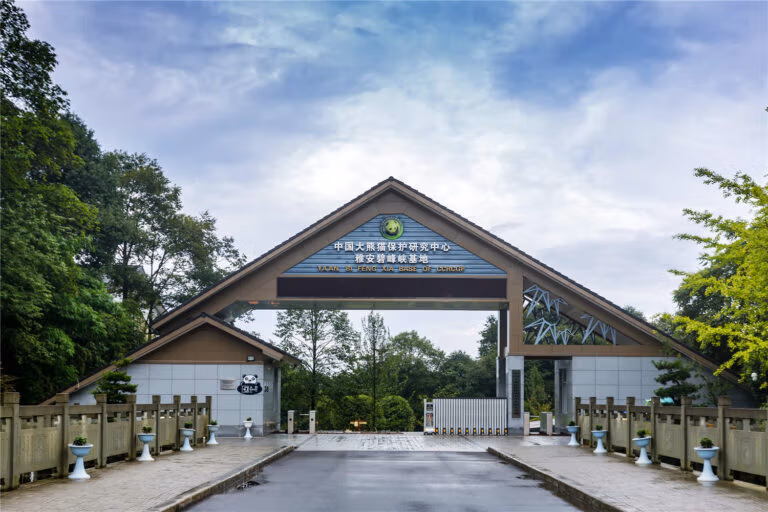 Entrance Of Bifengxia Panda Base