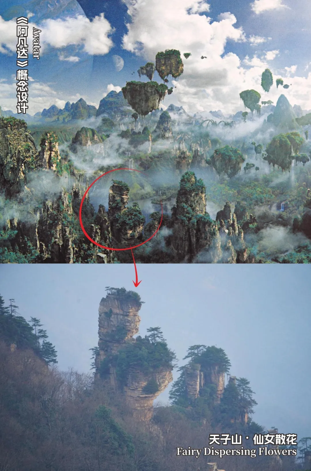 Unveiling The Top 10 Filming Locations Of Avatar In Zhangjiajie