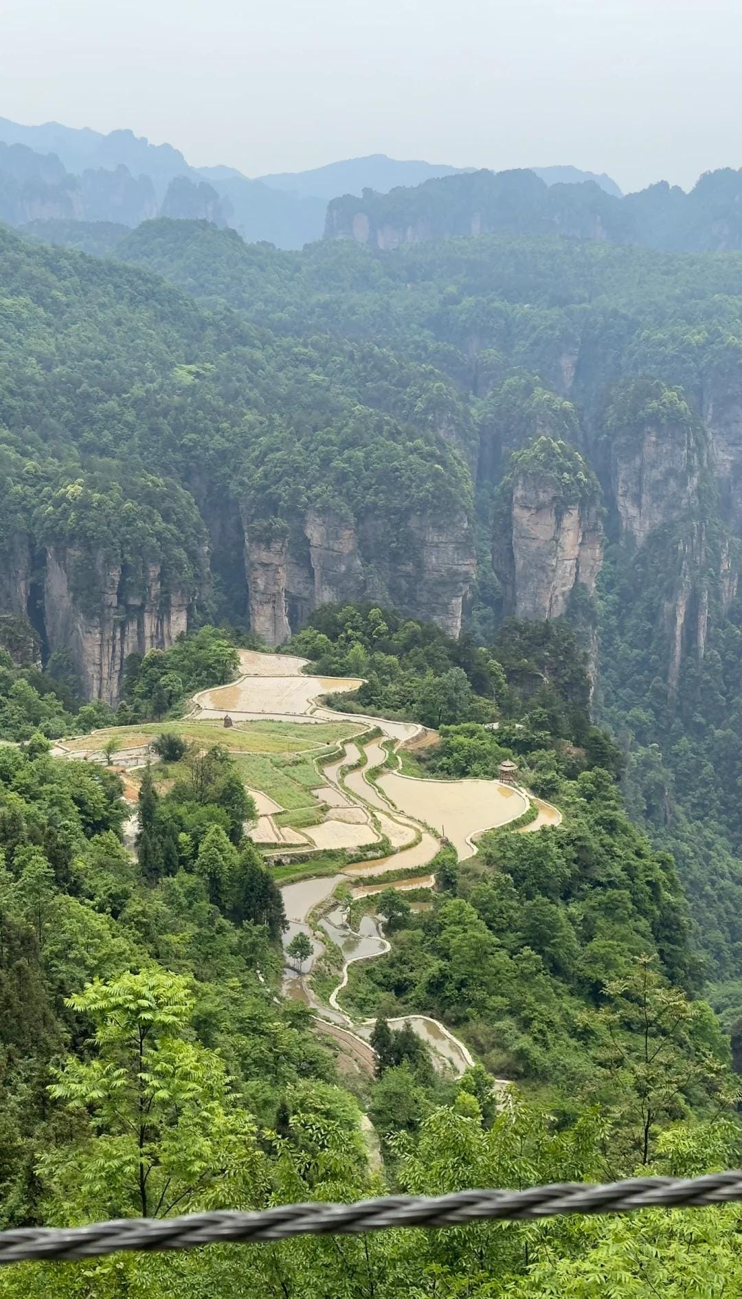Tianzi Mountain In Zhangjiajie: The Complete Insider'S Guide 7 Fields In The Air