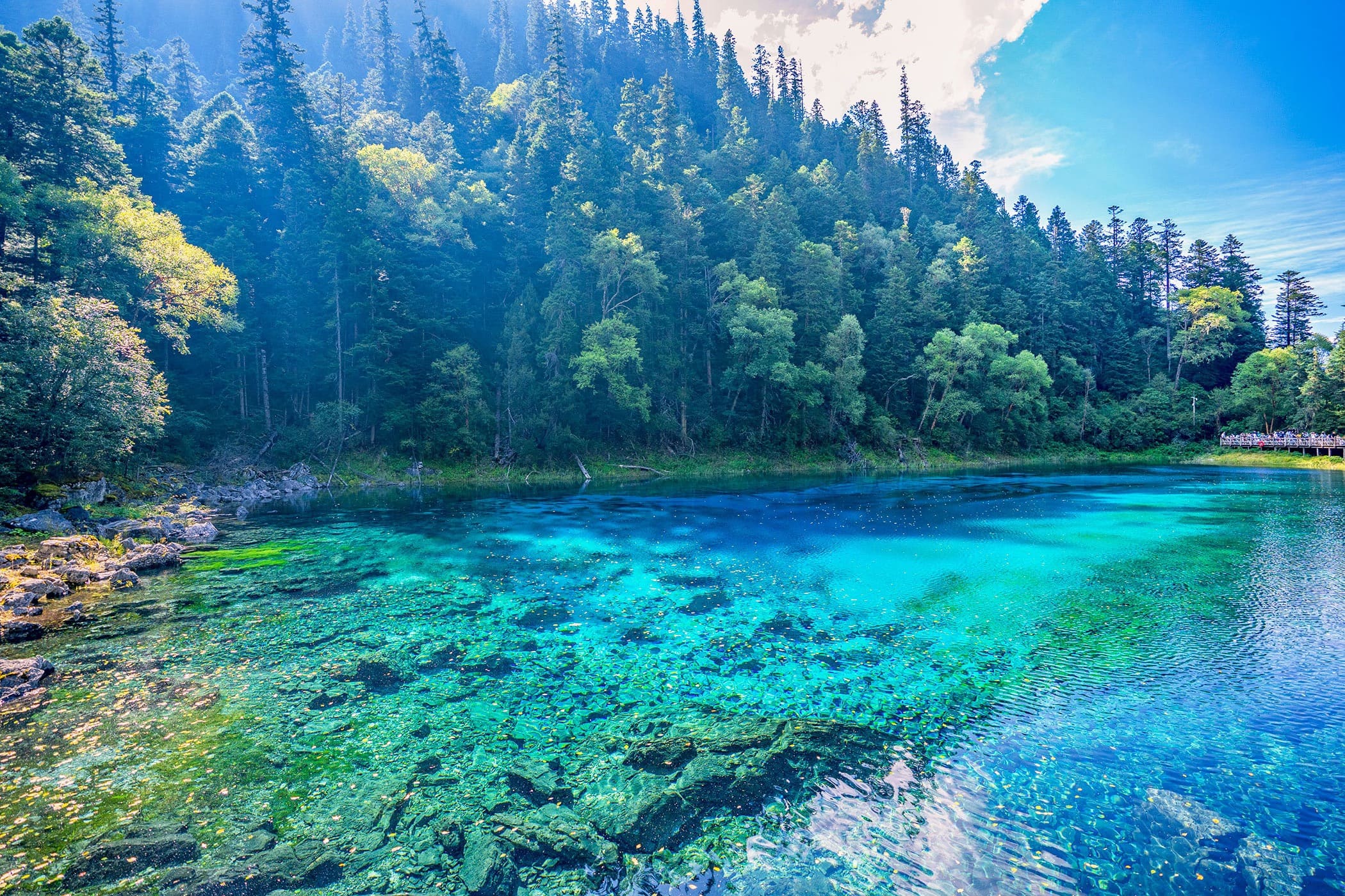 Five-Colour Pond, Zechawa Valley, Jiuzhaigou