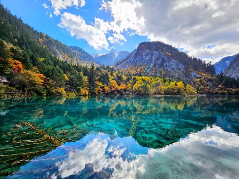 Rize Valley, Jiuzhaigou: Route, 10 Stops, Timing &Amp; Mistakes 3 Five Flower Lake, Rize Valley, Jiuzhaigou