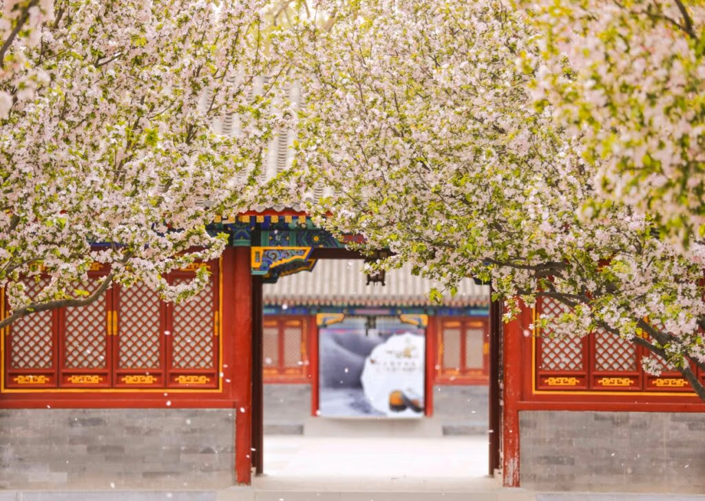 Chinese Flowers: A Complete Travel Guide To China'S Most Beautiful Blooms 2 Chinese Flowers: A Complete Travel Guide To China'S Most Beautiful Blooms