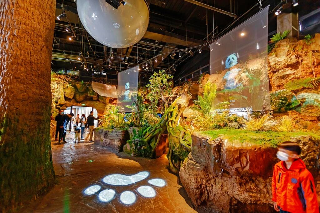 Chengdu Panda Base Guide: Tickets, Routes &Amp; What We Tell Our Clients 7 Giant Panda Museum - Inside
