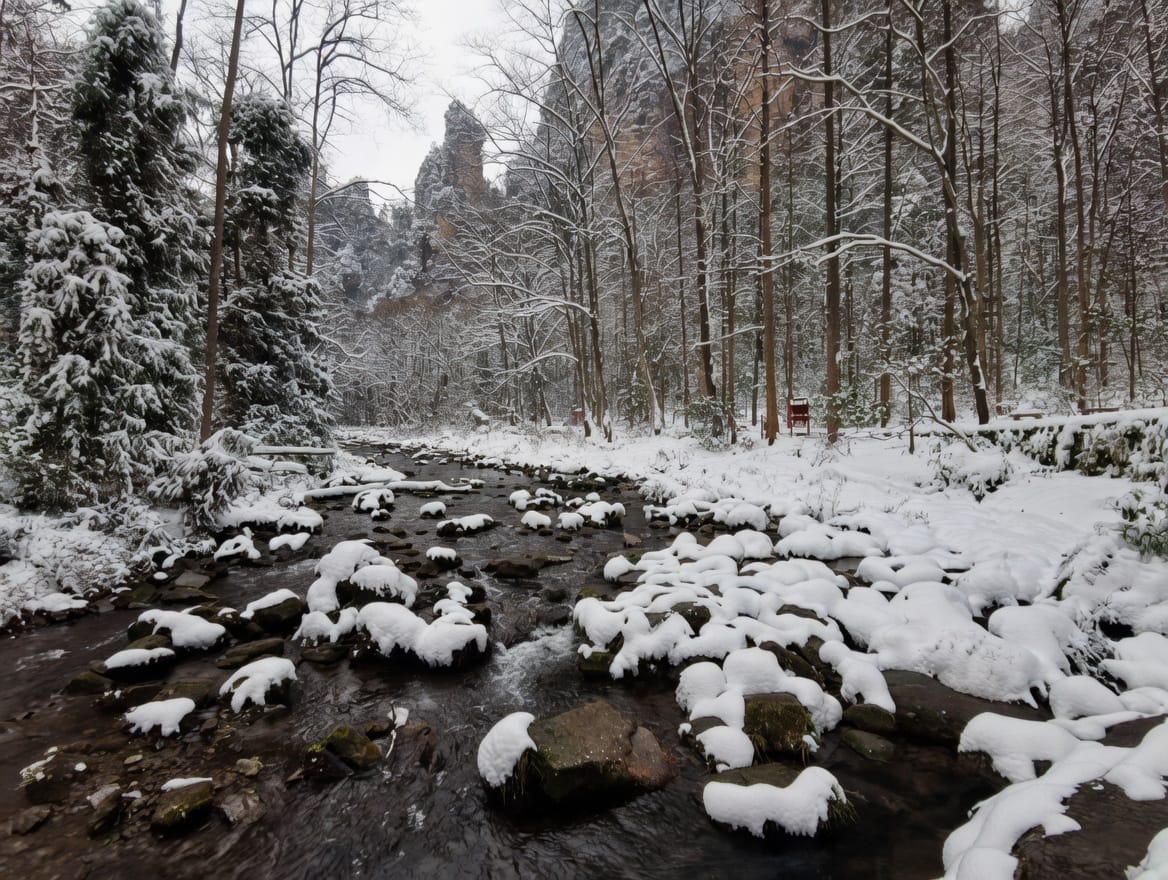The Rare Heavy Snowfall Over Golden Whip Stream On December 30, 2018, Remains Unforgettable. That Day, I Was Accompanying Important Guests Who Had Traveled All The Way From Chicago. Following Our Itinerary, We Arrived At Golden Whip Stream, Where I Captured Several Photos With My Phone As Snow Quietly Blanketed The Forest And Stream.