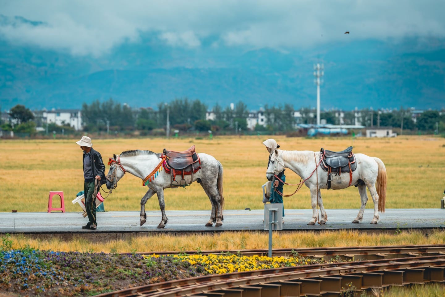 Horse Riding In Xizhou