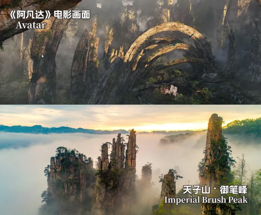 Filming Locations Of Avatar In Zhangjiajie