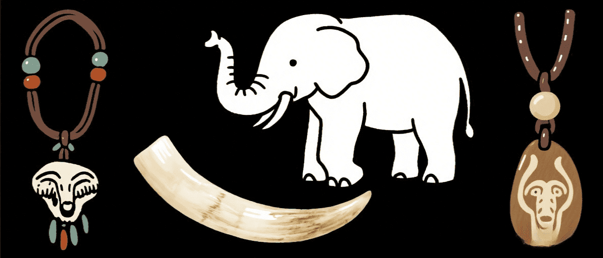 Ivory And Wildlife Products