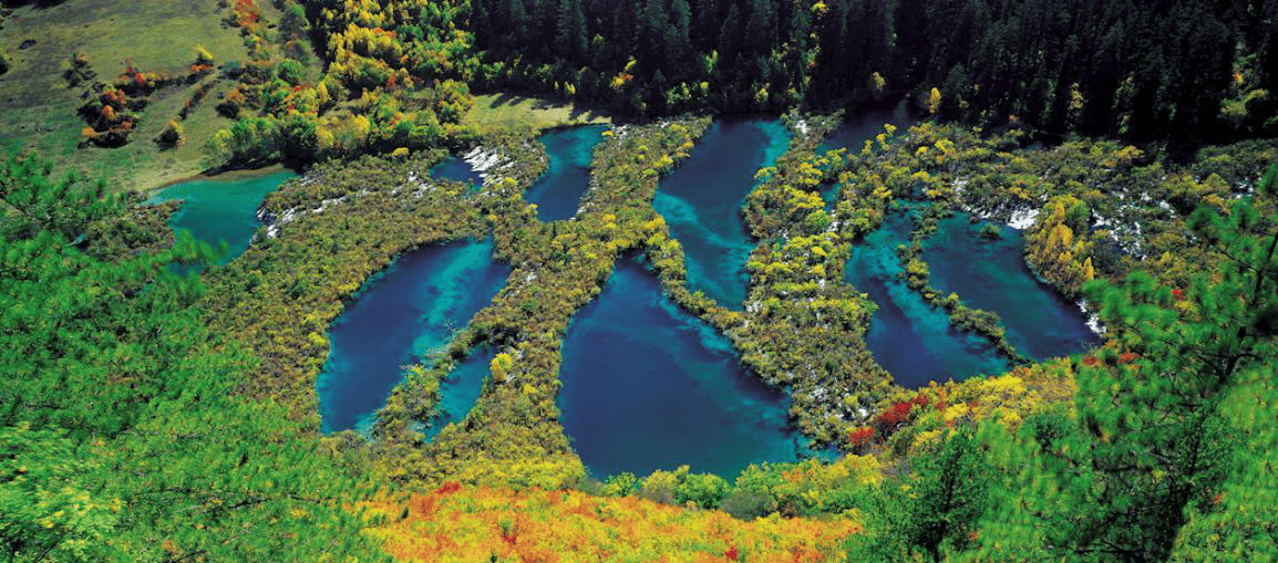 Jiuzhaigou 3 Valleys Compared: Rize Vs Zechawa Vs Shuzheng 11 Colorful Lakes Surrounded By Lush Greenery