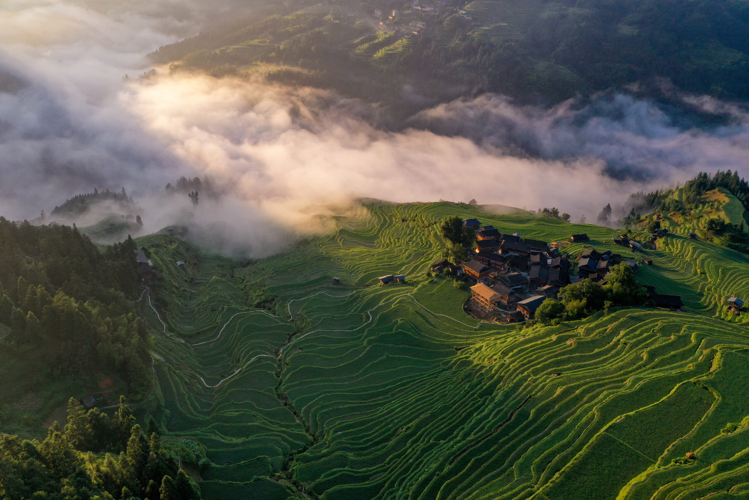 Comprehensive Guide To Rice Terraces In China: What Most Guides Won'T Tell You 22 Jiabang Rice Terrace In Summer