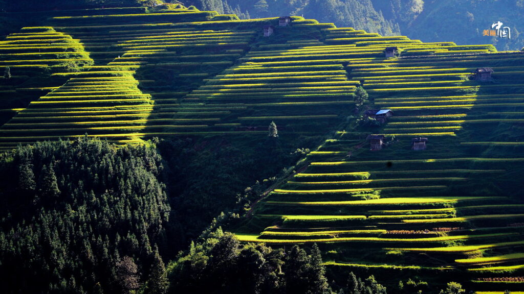 Comprehensive Guide To Rice Terraces In China: What Most Guides Won'T Tell You 16 Comprehensive Guide To Rice Terraces In China: What Most Guides Won'T Tell You